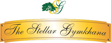 Bigwig Media Digital